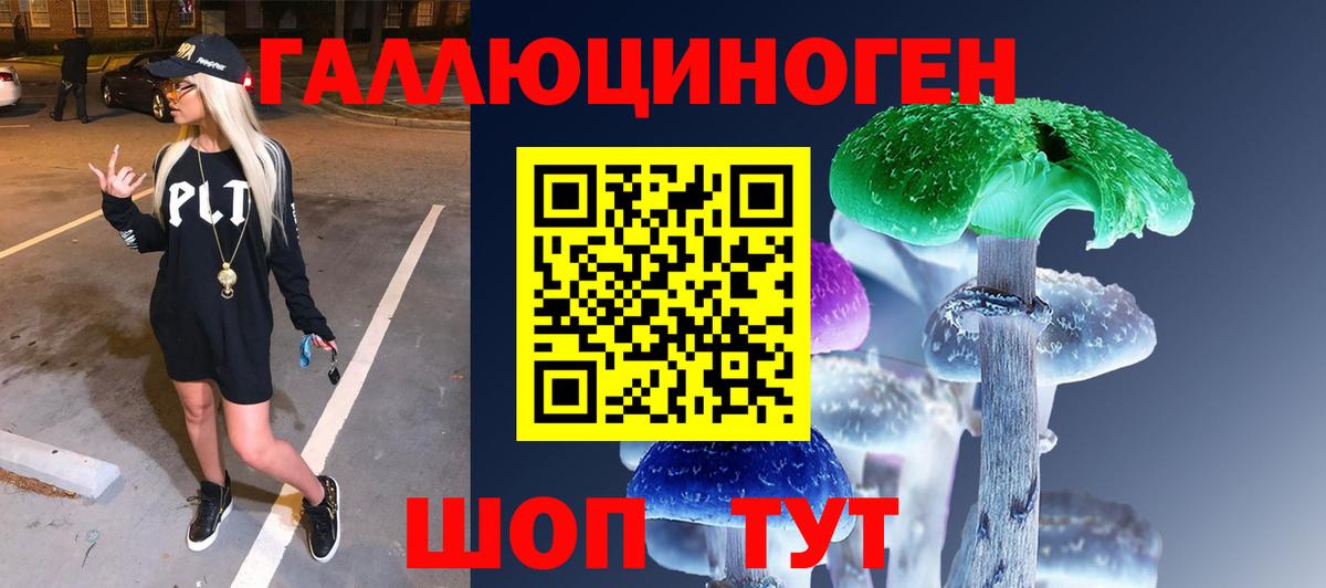 Псилоцибиновые грибы прущие грибы  Вход с VPN  Новочебоксарск 