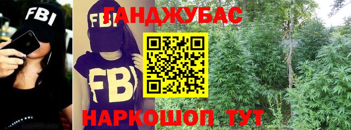 Бошки марихуана семена Новочебоксарск
